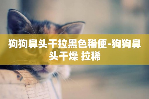 狗狗鼻頭干拉黑色稀便-狗狗鼻頭干燥 拉稀