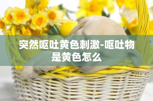 突然嘔吐黃色刺激-嘔吐物是黃色怎么