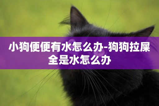 小狗便便有水怎么辦-狗狗拉屎全是水怎么辦