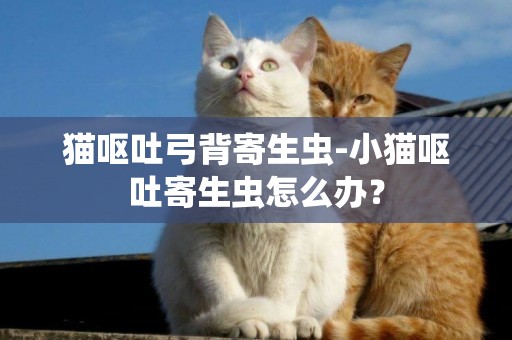 貓嘔吐弓背寄生蟲-小貓嘔吐寄生蟲怎么辦？