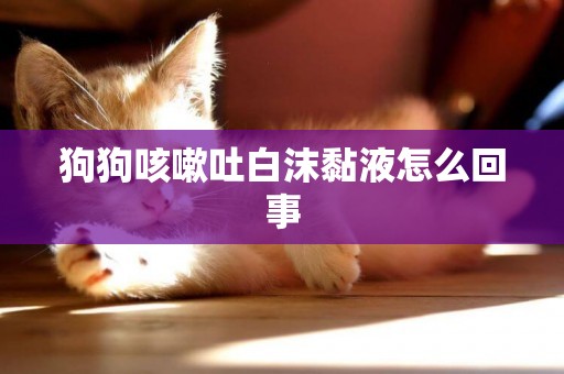 狗狗咳嗽吐白沫黏液怎么回事