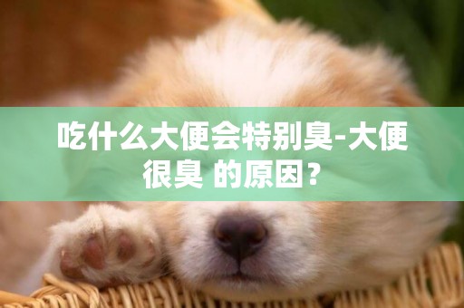 吃什么大便會特別臭-大便很臭 的原因？