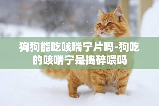 狗狗能吃咳喘寧片嗎-狗吃的咳喘寧是搗碎喂嗎