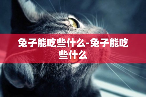 兔子能吃些什么-兔子能吃些什么