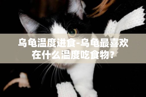 烏龜溫度進食-烏龜最喜歡在什么溫度吃食物？