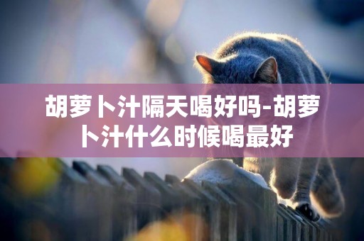胡蘿卜汁隔天喝好嗎-胡蘿卜汁什么時候喝最好