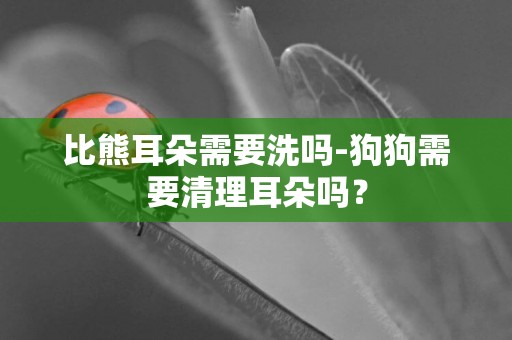 比熊耳朵需要洗嗎-狗狗需要清理耳朵嗎？