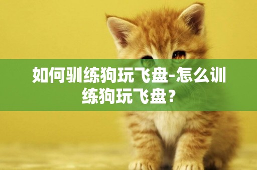 如何馴練狗玩飛盤-怎么訓練狗玩飛盤？