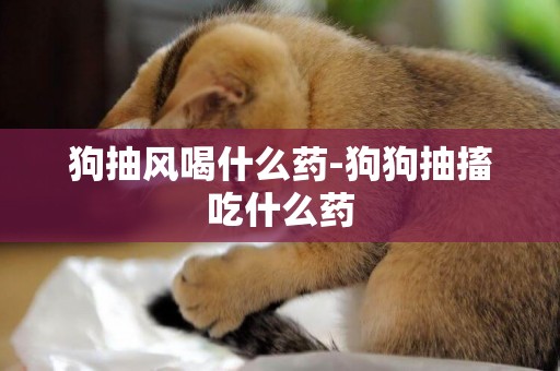 狗抽風喝什么藥-狗狗抽搐吃什么藥