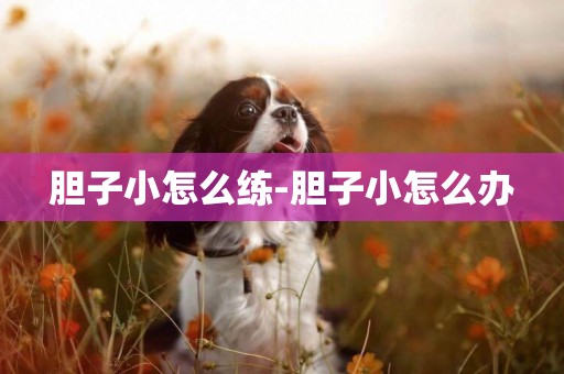 膽子小怎么練-膽子小怎么辦