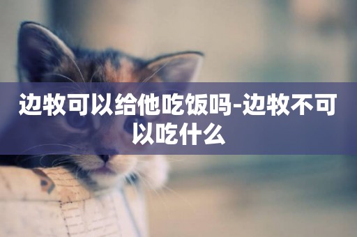 邊牧可以給他吃飯嗎-邊牧不可以吃什么