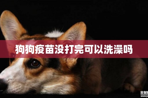 狗狗疫苗沒打完可以洗澡嗎