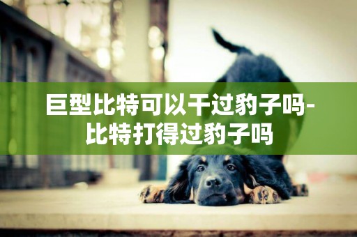 巨型比特可以干過豹子嗎-比特打得過豹子嗎