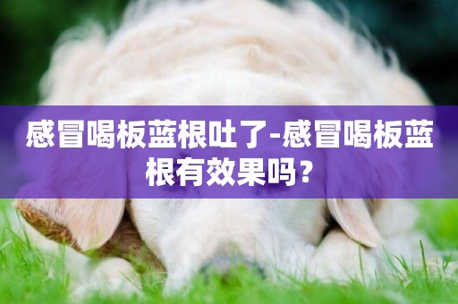 感冒喝板藍根吐了-感冒喝板藍根有效果嗎？