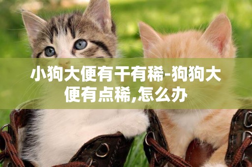 小狗大便有干有稀-狗狗大便有點稀,怎么辦