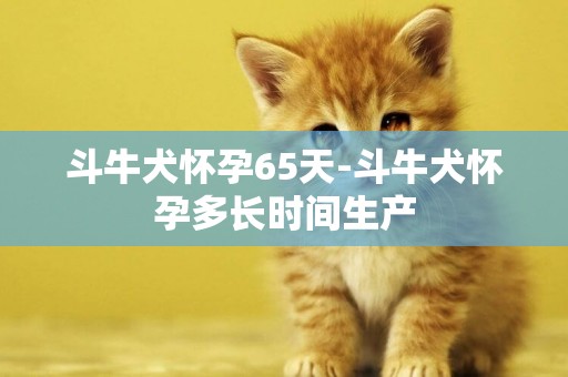 斗牛犬懷孕65天-斗牛犬懷孕多長時間生產