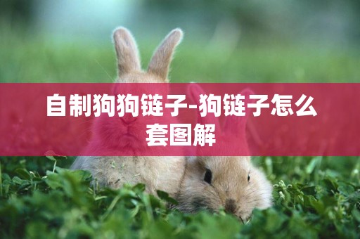 自制狗狗鏈子-狗鏈子怎么套圖解