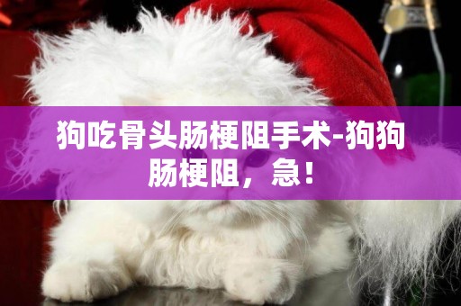 狗吃骨頭腸梗阻手術-狗狗腸梗阻，急！