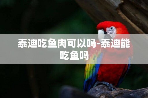 泰迪吃魚肉可以嗎-泰迪能吃魚嗎
