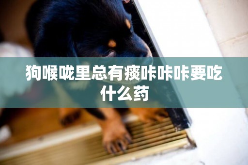 狗喉嚨里總有痰咔咔咔要吃什么藥