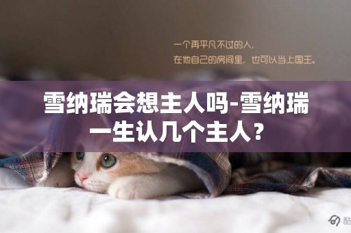 雪納瑞會想主人嗎-雪納瑞一生認幾個主人？