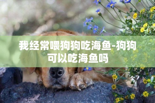 我經常喂狗狗吃海魚-狗狗可以吃海魚嗎