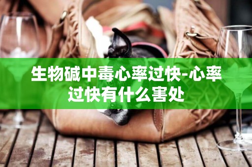 生物堿中毒心率過快-心率過快有什么害處