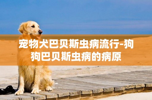 寵物犬巴貝斯蟲病流行-狗狗巴貝斯蟲病的病原
