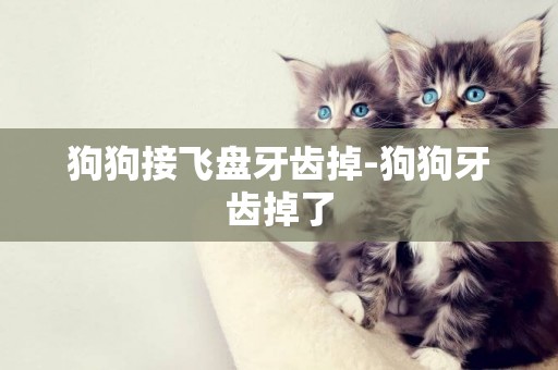 狗狗接飛盤牙齒掉-狗狗牙齒掉了