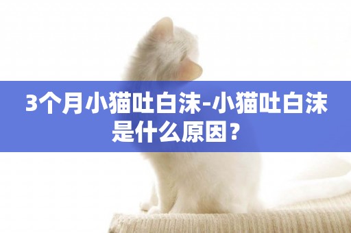 3個月小貓吐白沫-小貓吐白沫是什么原因？