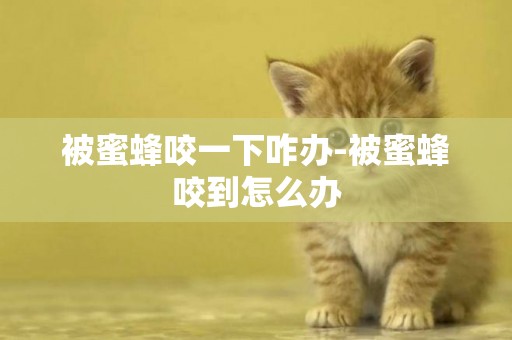 被蜜蜂咬一下咋辦-被蜜蜂咬到怎么辦