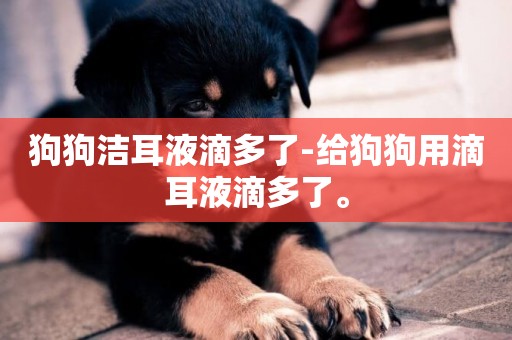 狗狗潔耳液滴多了-給狗狗用滴耳液滴多了。