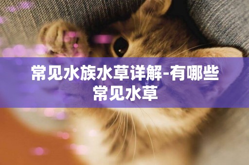 常見水族水草詳解-有哪些常見水草