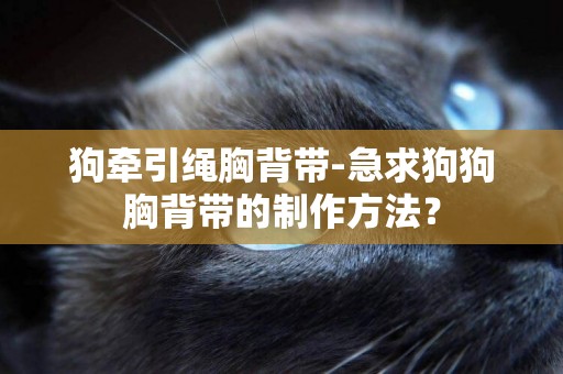 狗牽引繩胸背帶-急求狗狗胸背帶的制作方法？