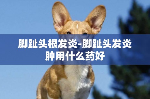 腳趾頭根發炎-腳趾頭發炎腫用什么藥好