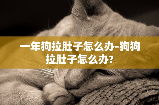 一年狗拉肚子怎么辦-狗狗拉肚子怎么辦?