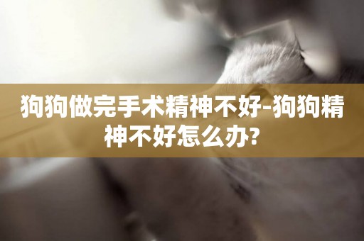 狗狗做完手術精神不好-狗狗精神不好怎么辦?