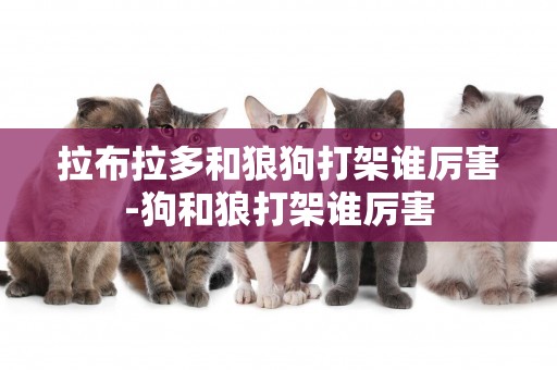 拉布拉多和狼狗打架誰厲害-狗和狼打架誰厲害