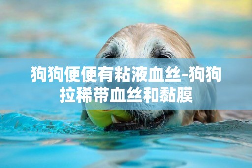 狗狗便便有粘液血絲-狗狗拉稀帶血絲和黏膜