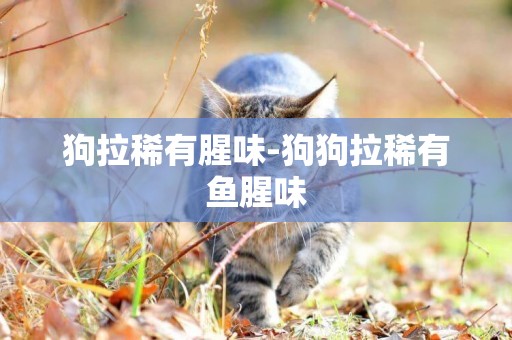 狗拉稀有腥味-狗狗拉稀有魚腥味