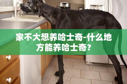 家不大想養哈士奇-什么地方能養哈士奇？