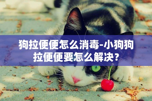 狗拉便便怎么消毒-小狗狗拉便便要怎么解決？