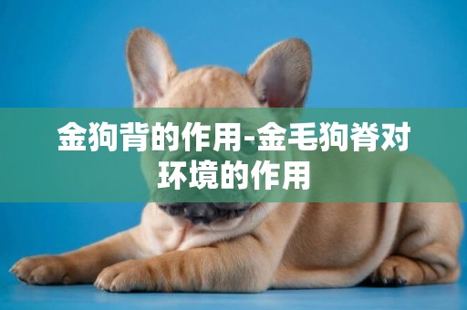 金狗背的作用-金毛狗脊對環境的作用