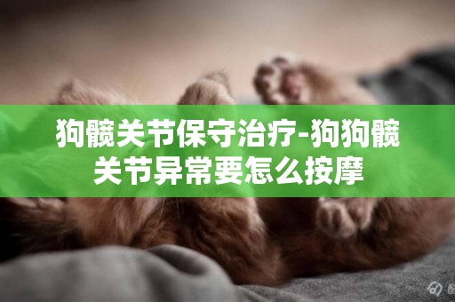 狗髖關節保守治療-狗狗髖關節異常要怎么按摩