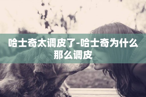 哈士奇太調皮了-哈士奇為什么那么調皮