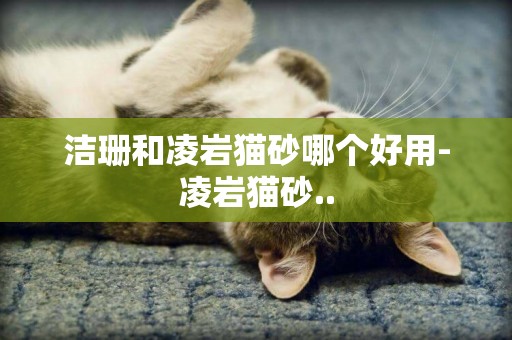 潔珊和凌巖貓砂哪個好用-凌巖貓砂..
