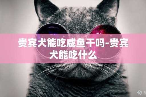 貴賓犬能吃咸魚干嗎-貴賓犬能吃什么