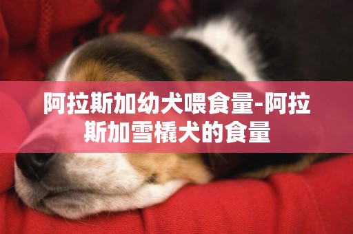 阿拉斯加幼犬喂食量-阿拉斯加雪橇犬的食量