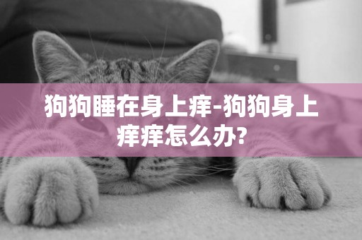 狗狗睡在身上癢-狗狗身上癢癢怎么辦?