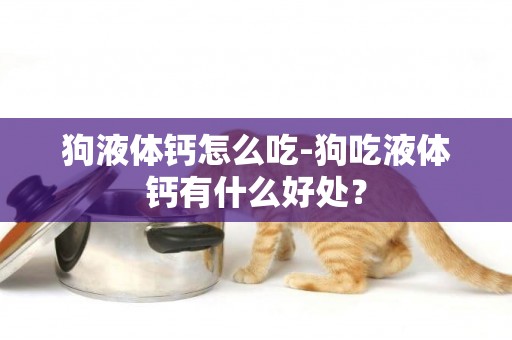 狗液體鈣怎么吃-狗吃液體鈣有什么好處？